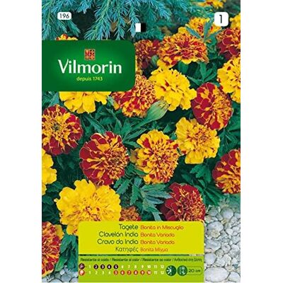 Vilmorin Kit 10 bustine Semi Di Tagete Indiabonita Fiori S-1,1,5 Gr Vilmorin Kit 10 bustine Semi Di Tagete Indiabonita Fiori S-1,1,5 Gr