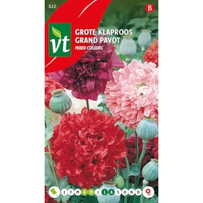 Arborix Poppy Semi di Papavero Colori Misti Grandi Fiori in Vari Colori Arborix Poppy Semi di Papavero Colori Misti Grandi Fiori in Vari Colori