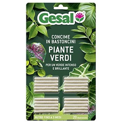 GESAL Concime Bastoncini per Piante Verdi, 20 Bastoncini, 18g GESAL Concime Bastoncini per Piante Verdi, 20 Bastoncini, 18g