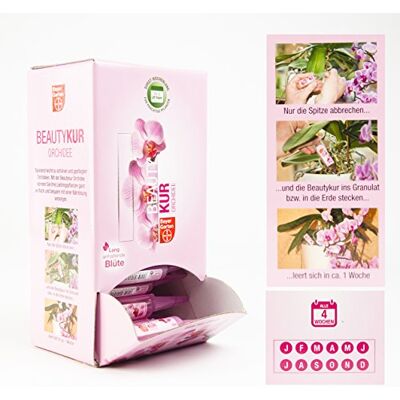 Bayer Inter Flower-10 xorchidee Beauty Kur per Tutte Le Orchidee Bayer Inter Flower-10 xorchidee Beauty Kur per Tutte Le Orchidee
