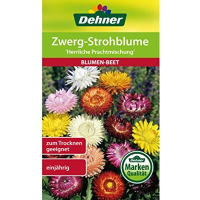 Dehner Sementi per Fiori, Fiori di Paglia Nano, Miscela magnifica, Confezione da 5 (5 x 1,1 g) Dehner Sementi per Fiori, Fiori di Paglia Nano, Miscela magnifica, Confezione da 5 (5 x 1,1 g)