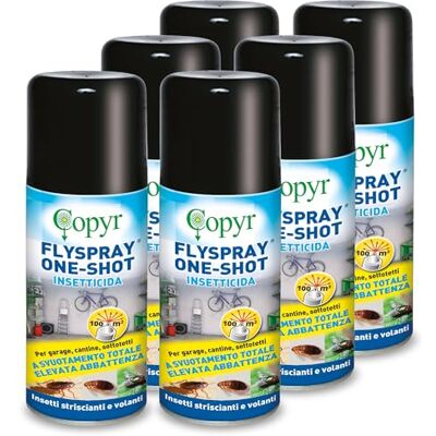 COPYR FlySpray OneShot Insetticida Aerosol contro Mosche Scarafaggi Formiche Pulci Zecche, Insetti delle Derrate, 150ml x 6 Pz con Piretrine Pure, Azione Abbattente a Svuotamento Totale COPYR FlySpray OneShot Insetticida Aerosol contro Mosche Scarafaggi Formiche Pulci Zecche, Insetti delle Derrate, 150ml x 6 Pz con Piretrine Pure, Azione Abbattente a Svuotamento Totale