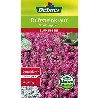 Dehner Sementi per germogli Königsteppich, Confezione da 5 (5 x 0,7 g) Dehner Sementi per germogli Königsteppich, Confezione da 5 (5 x 0,7 g)