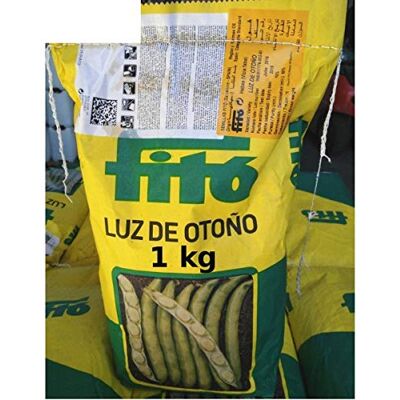 Fito Semi di fave precoci LUZ DE OTONO 1 kg Fito Semi di fave precoci LUZ DE OTONO 1 kg