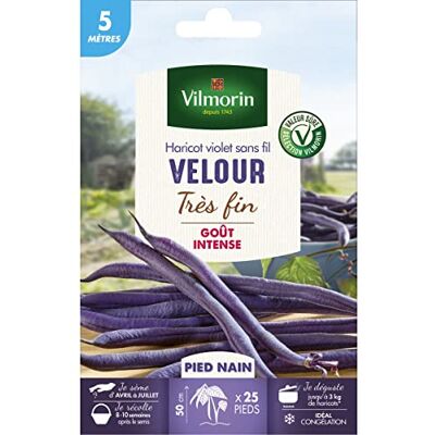 Vilmorin Semi di fagiolo viola senza fili VELOUR molto fine 5 metri Vilmorin Semi di fagiolo viola senza fili VELOUR molto fine 5 metri