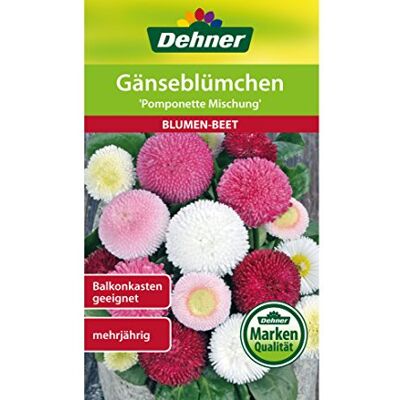 Dehner Sementi per Fiori, Margherite Pomponette Mischung, Confezione da 5 (5 x 0,2 g) Dehner Sementi per Fiori, Margherite Pomponette Mischung, Confezione da 5 (5 x 0,2 g)
