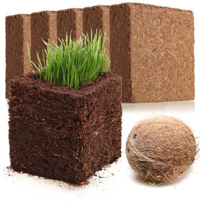 com-four ® 5x terreno per coltivazione di cocco, fette di cocco rigonfianti bricchette gonfiabili senza torba realizzate con fibra di cocco pressata produce 5 litri di terriccio com-four ® 5x terreno per coltivazione di cocco, fette di cocco rigonfianti bricchette gonfiabili senza torba realizzate con fibra di cocco pressata produce 5 litri di terriccio