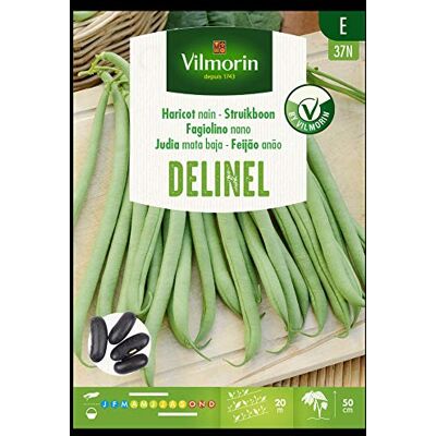 Vilmorin Kit 5 Pacchetti FAGIOLINO NANO DELINEL Vilmorin Kit 5 Pacchetti FAGIOLINO NANO DELINEL