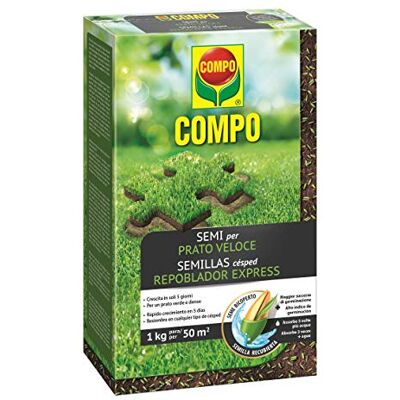 Compo SEMI per Prato Veloce, Miscela Speciale, Seme Ricoperto, Per rigenerare Tappeti Erbosi, 1 kg Compo SEMI per Prato Veloce, Miscela Speciale, Seme Ricoperto, Per rigenerare Tappeti Erbosi, 1 kg