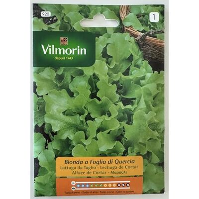 Vilmorin Semi pianta di Lattuga da Taglio Rustica Bionda a Foglia di Quercia S1-920, 7 Gr Confezione da 10 bustine) Vilmorin Semi pianta di Lattuga da Taglio Rustica Bionda a Foglia di Quercia S1-920, 7 Gr Confezione da 10 bustine)