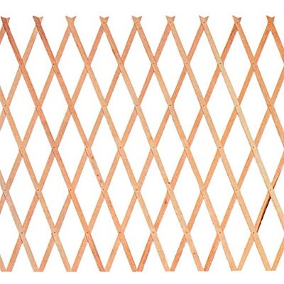 Trellis da giardino in legno estensibile Fraschetti - 100x200 cm Trellis da giardino in legno estensibile Fraschetti - 100x200 cm