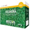 Bottos DICONDRA, Semi per Prato Dichondra Repens, Basse Richieste Manutentive, Ottima Resistenza all'Ombra, Ideale per Aiuole e Banchine, Foglie Cuoriformi Scure, 1Kg (80mq)