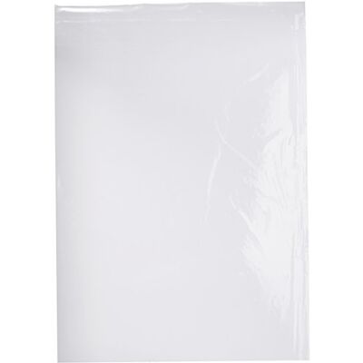 Decora CF 100 Sacchetti Neutri 35 X 50 Cm Decora CF 100 Sacchetti Neutri 35 X 50 Cm