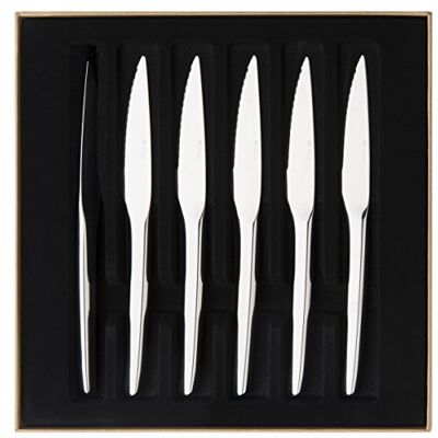DEGRENNE Guy Monobloc Set di 6 coltelli da Bistecca, con Lama Unita seghettata DEGRENNE Guy Monobloc Set di 6 coltelli da Bistecca, con Lama Unita seghettata
