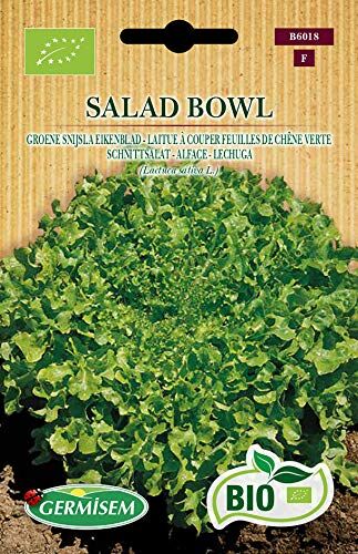 Germisem Biologico Salad Bowl Semi di Lattuga 1 g