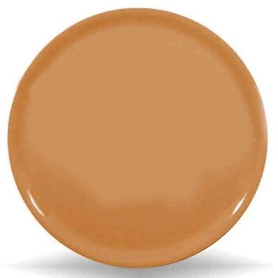 Saturnia Piatto da Pizza Piatto per Pizza Napoli in Porcellana Colore 33cm (Arancio) Saturnia Piatto da Pizza Piatto per Pizza Napoli in Porcellana Colore 33cm (Arancio)