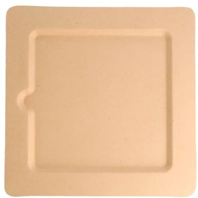 Garcia de Pou Piatto Quadrato "Bionic" 20X20X1 Cm Naturale Cellulosa 50 Unità Garcia de Pou Piatto Quadrato "Bionic" 20X20X1 Cm Naturale Cellulosa 50 Unità