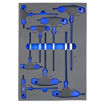 Zarivy Vassoio in schiuma con manici a T, dimensioni 280 x 400 x 35 mm, ideale per il trasporto e la presentazione di alimenti. Zarivy Vassoio in schiuma con manici a T, dimensioni 280 x 400 x 35 mm, ideale per il trasporto e la presentazione di alimenti.