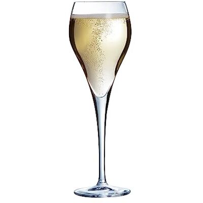 Arcoroc Collezione Brio 6 flauti da Champagne 16 cl Trasparenza e resistenza Made in France Imballaggio rinforzato Arcoroc Collezione Brio 6 flauti da Champagne 16 cl Trasparenza e resistenza Made in France Imballaggio rinforzato
