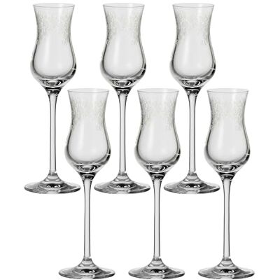 Leonardo Chateau 35298 Set 6 Bicchieri da Grappa Leonardo Chateau 35298 Set 6 Bicchieri da Grappa
