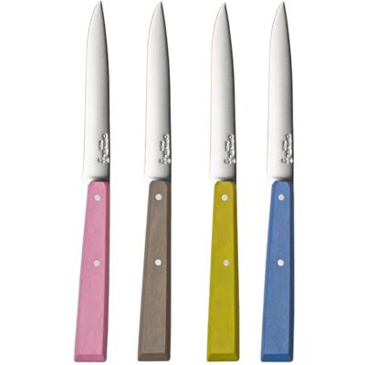 OPINEL Scatola di 4 Coltelli da Tavola N°125 Bon Appétit Campagne Lama in Acciaio Inossidabile Manico in Carpino Fabbricazione Francese Rosa, Grigio, Tiglio e Azzurro. OPINEL Scatola di 4 Coltelli da Tavola N°125 Bon Appétit Campagne Lama in Acciaio Inossidabile Manico in Carpino Fabbricazione Francese Rosa, Grigio, Tiglio e Azzurro.