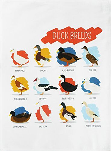 Half a Donkey Breeds of Duck Large Cotton Tea Towel by