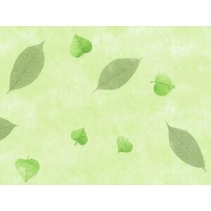 d-c-fix tovaglia plastificata Manhattan Nancy verde cerata PVC antimacchia impermeabile moderno copritavolo plastica tavolo per uso interno ed esterno 150 cm rotonda d-c-fix tovaglia plastificata Manhattan Nancy verde cerata PVC antimacchia impermeabile moderno copritavolo plastica tavolo per uso interno ed esterno 150 cm rotonda