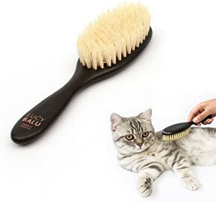 LucyBalu ® Spazzola per gatti a pelo corto e pelo lungo   spazzola per gatti   Pettine per la cura del pelo di gatti   Spazzola per peli di animali per gatti   Spazzola per capelli di gatto con setole