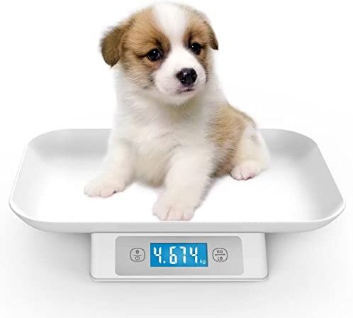 MINDPET-MED Bilancia digitale per animali di piccola taglia, precisione: 1 g, campo di misurazione: 15 kg/33 ib, unità g/lb/oz/tl/ml, adatta per gattini, cuccioli (grigio)