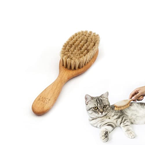 LucyBalu ® Spazzola per gatti per capelli corti e lunghi   Pettine per la cura del pelo   Spazzola per peli di animali   Spazzola per capelli di gatto con setole naturali e manico in legno   oliata