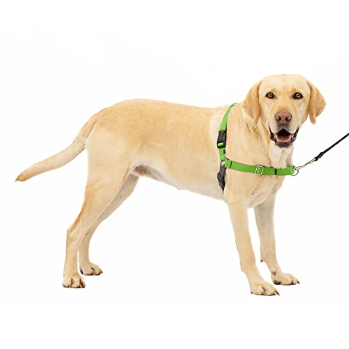PetSafe Easy Walk Imbracatura per Cani