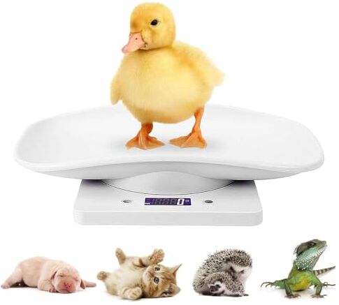 AzulLanse 15kg Bilancia digitale per animali domestici Bilancia per animali con display LCD, 4 modalità animali domestici e cucina piccoli gatti, cani, cibo, capacità fino a 15kg