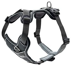 HUNTER Harness Divo L-XL, Grey/Grey (67624)