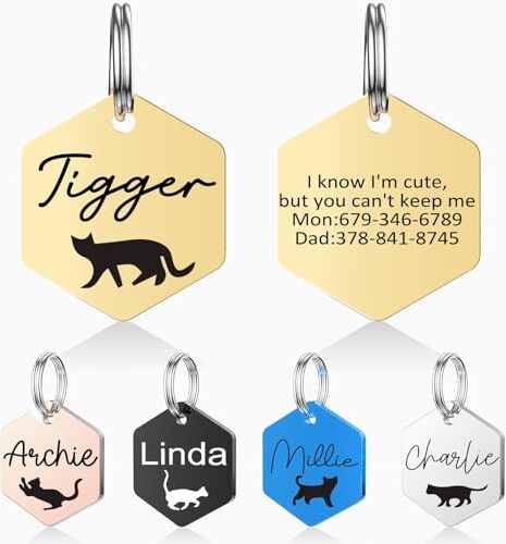 Generic Medaglietta per cani personalizzata con 4 linee di incisione personalizzata, regalo commemorativo durevole per cuccioli, gattini, cavalli e animali