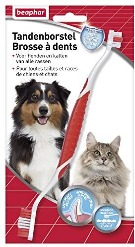 Beaphar Brosse a dents Pour chien et chat