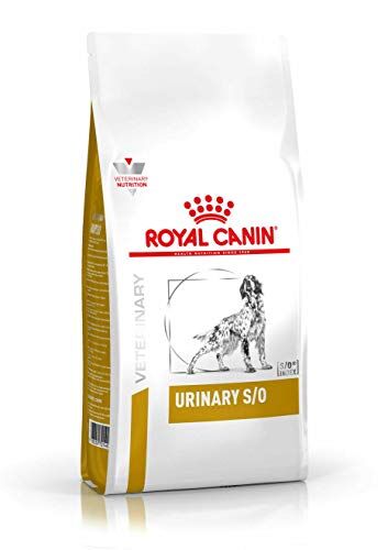 Royal Canin Royal Vet Canino Urinario S/O LP18, Alimento Dietetico Completo per Cani, Supporto della Funzione Renale 13 kg