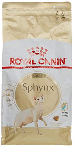 ROYAL CANIN Sphynx dry cat food 2 kg