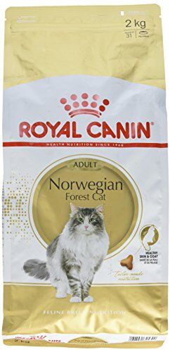 ROYAL CANIN Norwegian Forest Cat Adult cats dry food 2 kg Poultry