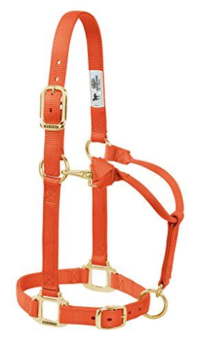 Weaver Leather Original Adjustable 3/10,2 cm Suckling Chin And Throat Snap Halter, , Orange, Yearling Horse