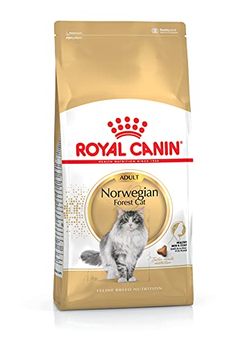 ROYAL CANIN Norwegian Forest Cat Adult Cats Dry Food 10 kg Poultry