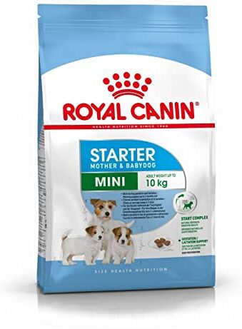 ROYAL CANIN SHN Mini Starter Mother & Babydog dry dog food 4 kg