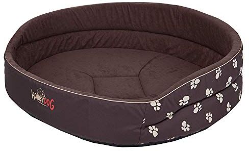 Hobbydog Dog Bed of Foam R6, 70 x 55 cm, Marrone, con Paws, L, Marrone, 1,5 kg