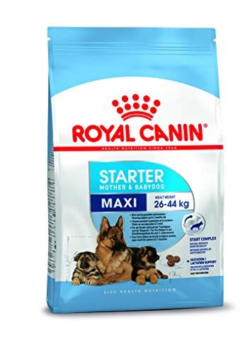 ROYAL CANIN SHN Maxi Starter Mother & Babydog Dry Dog Food 4 kg