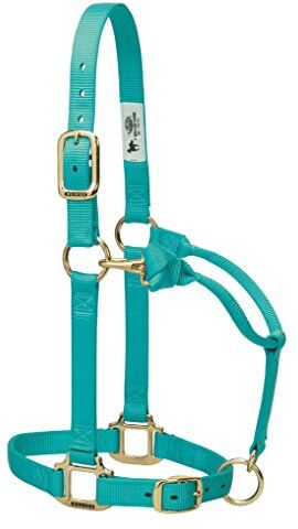 Weaver Leather Cavezza Originale Regolabile in Nylon, Cavallo Grande, Menta