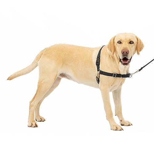 PetSafe Easy Walk Imbracatura per Cani