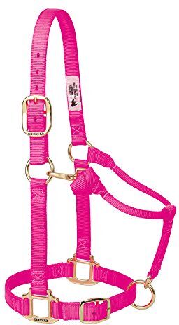 Weaver Leather Cavezza da Cavallo in Nylon Regolabile Originale, Cavallo Piccolo, Rosa Diva