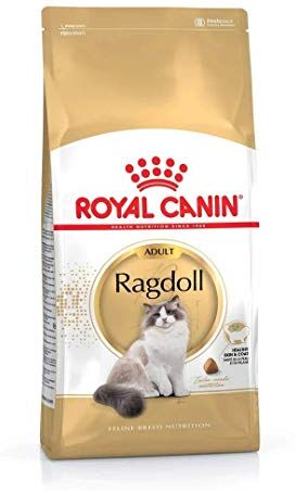 ROYAL CANIN Ragdoll Adult dry cat food 10 kg