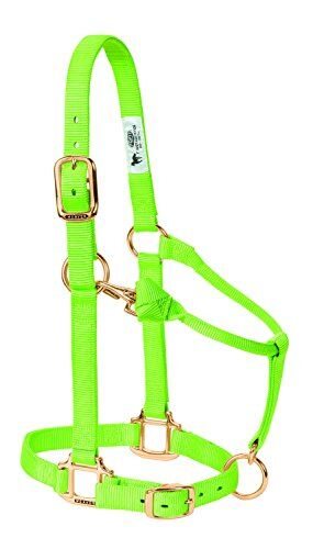 Weaver Leather Cavezza da Cavallo Regolabile in Nylon, Cavallo Grande, Colore Lime