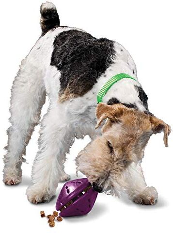 PetSafe Occupato Amici Twist 'N Treat Dog Toy