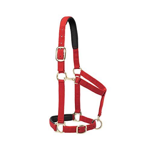 Weaver Leather Padded Adjustable Chin And Throat Snap Halter, 2,5 cm Media Cavallo o Yearling Draft, Solid Red
